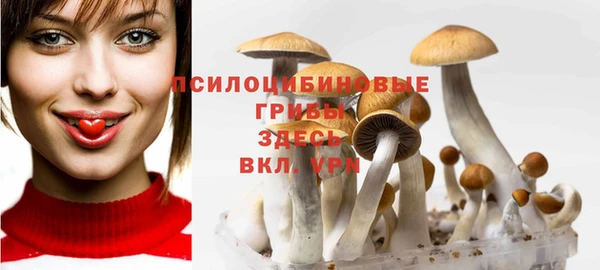 марки lsd Абаза